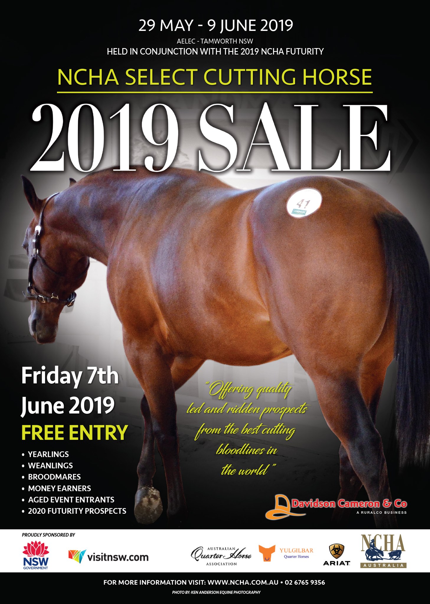 NCHA Select Cutting Horse 2019 Sale